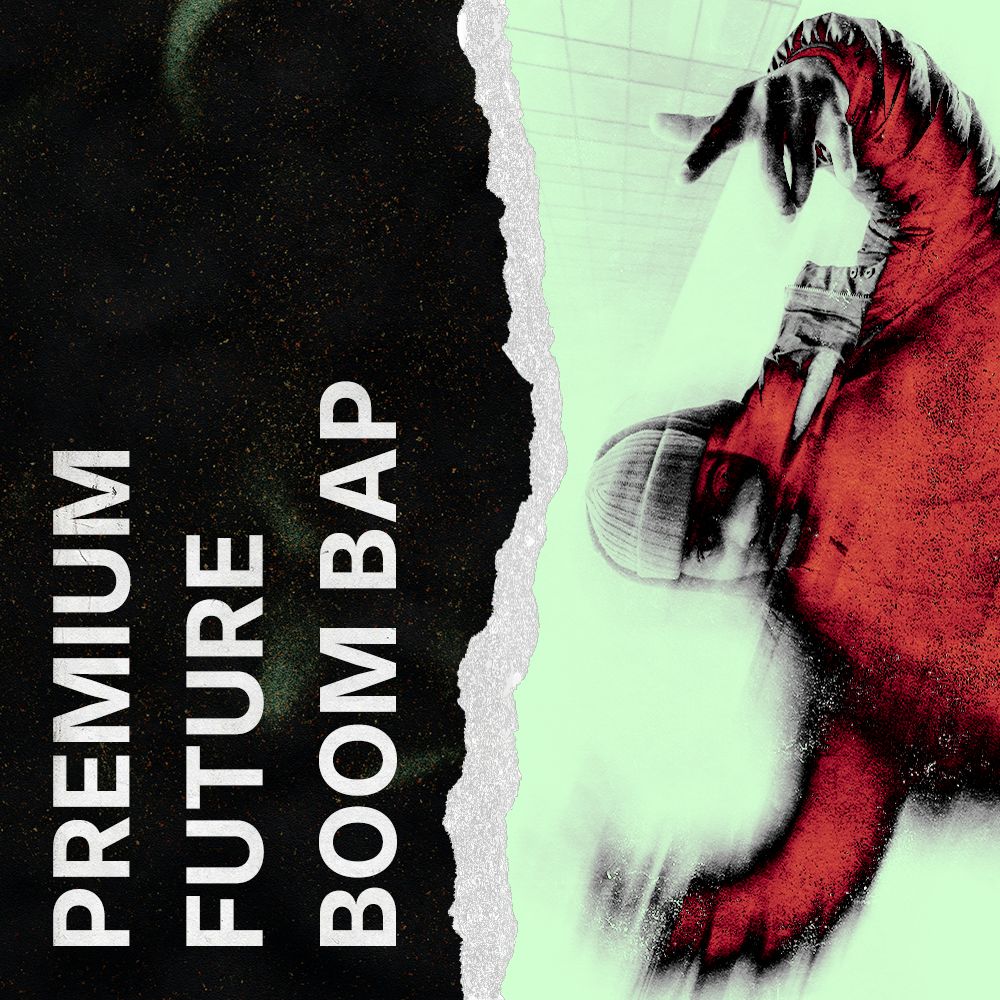 Pochette de Premium Future Boom Bap