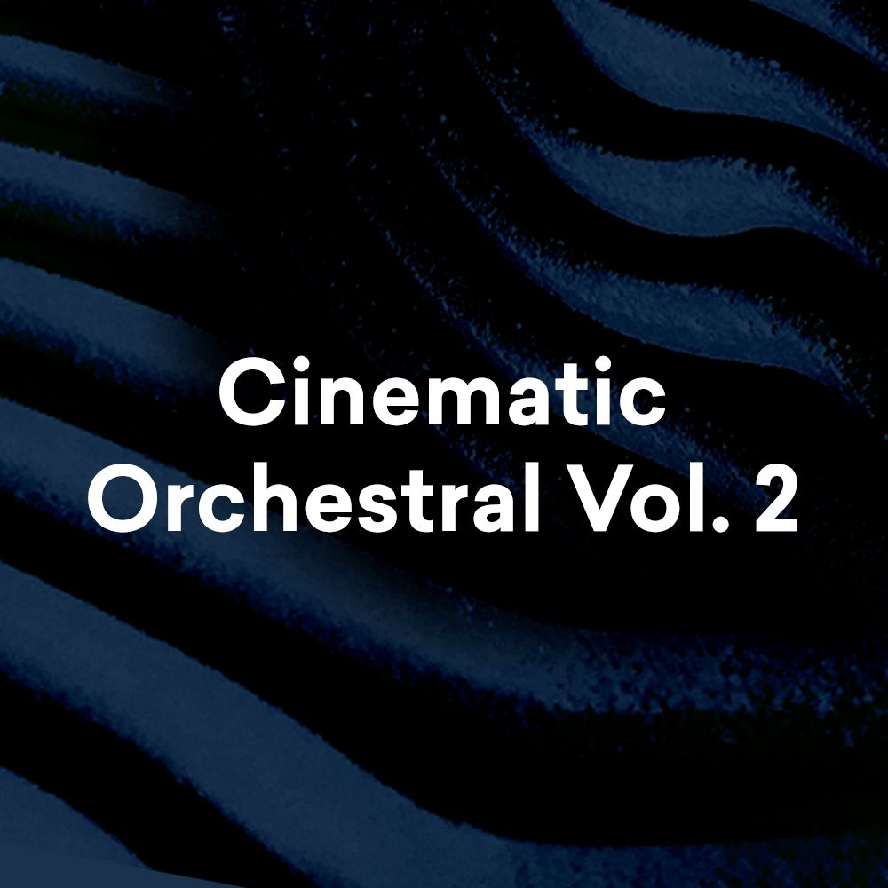 Pochette de Cinematic Orchestral Vol. 2