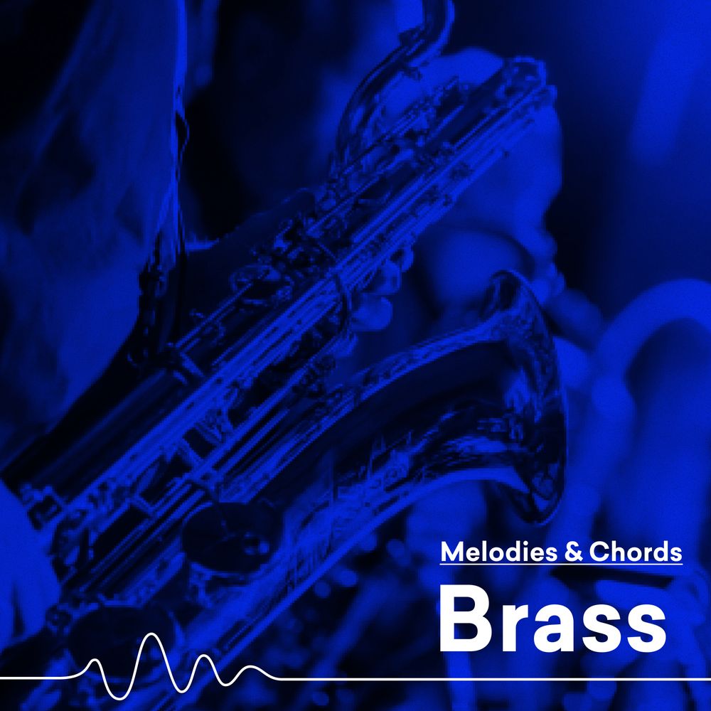 Pochette de Brass/Winds
