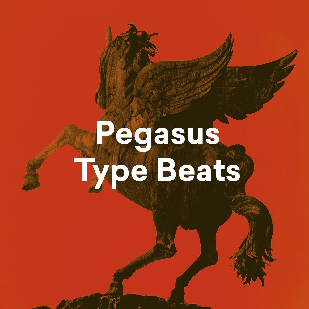 Pochette de Pegasus Type Beats