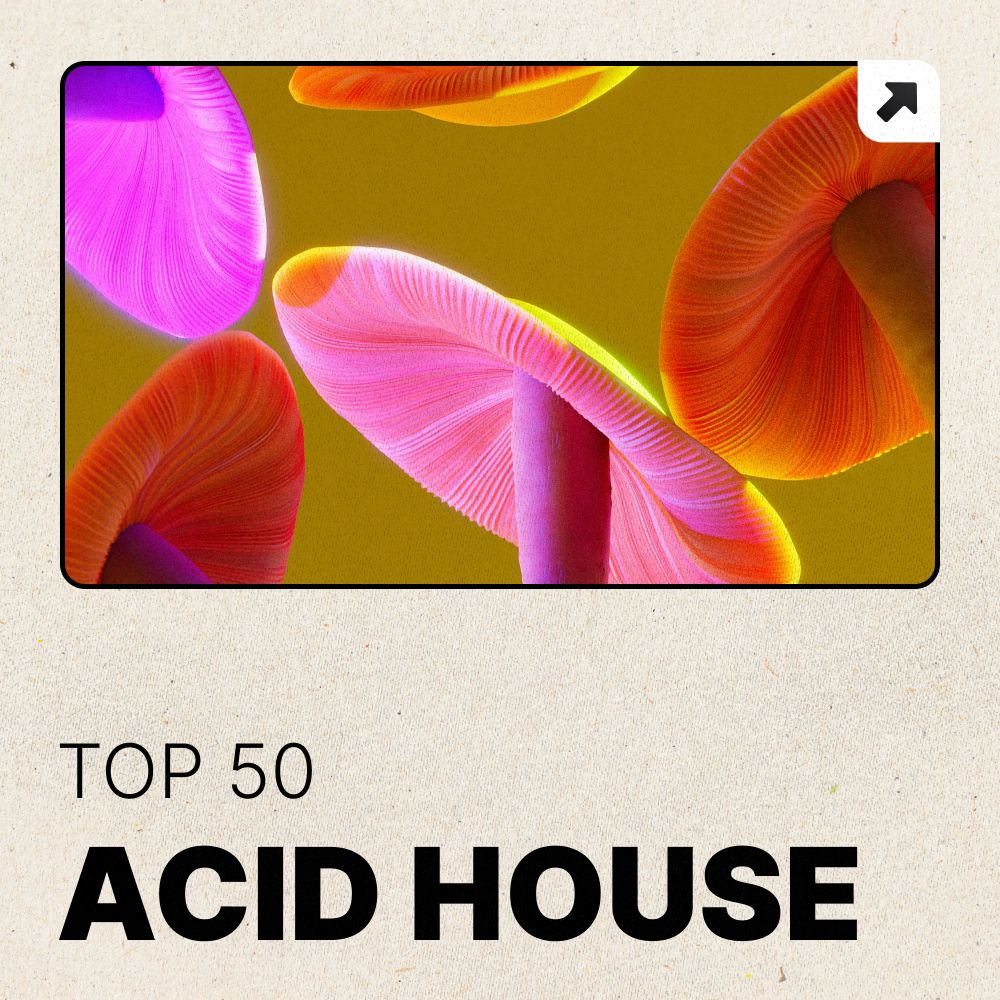 Pochette de Acid House Top 50