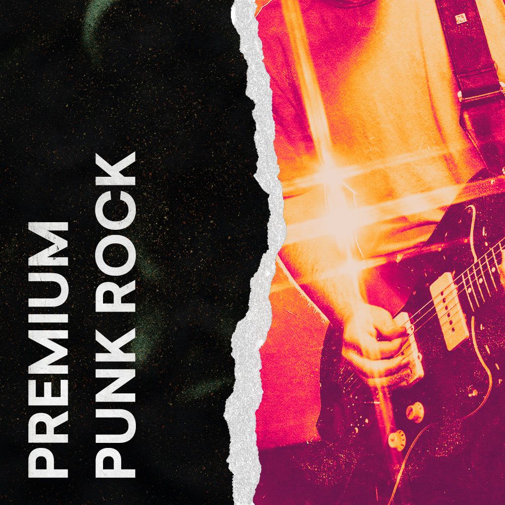 Pochette de Premium Punk Rock