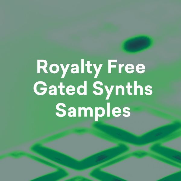 Pochette de Royalty Free Gated Synths Samples