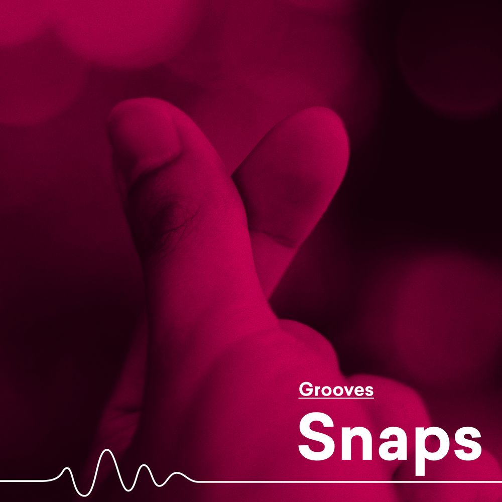 Artwork of Snaps