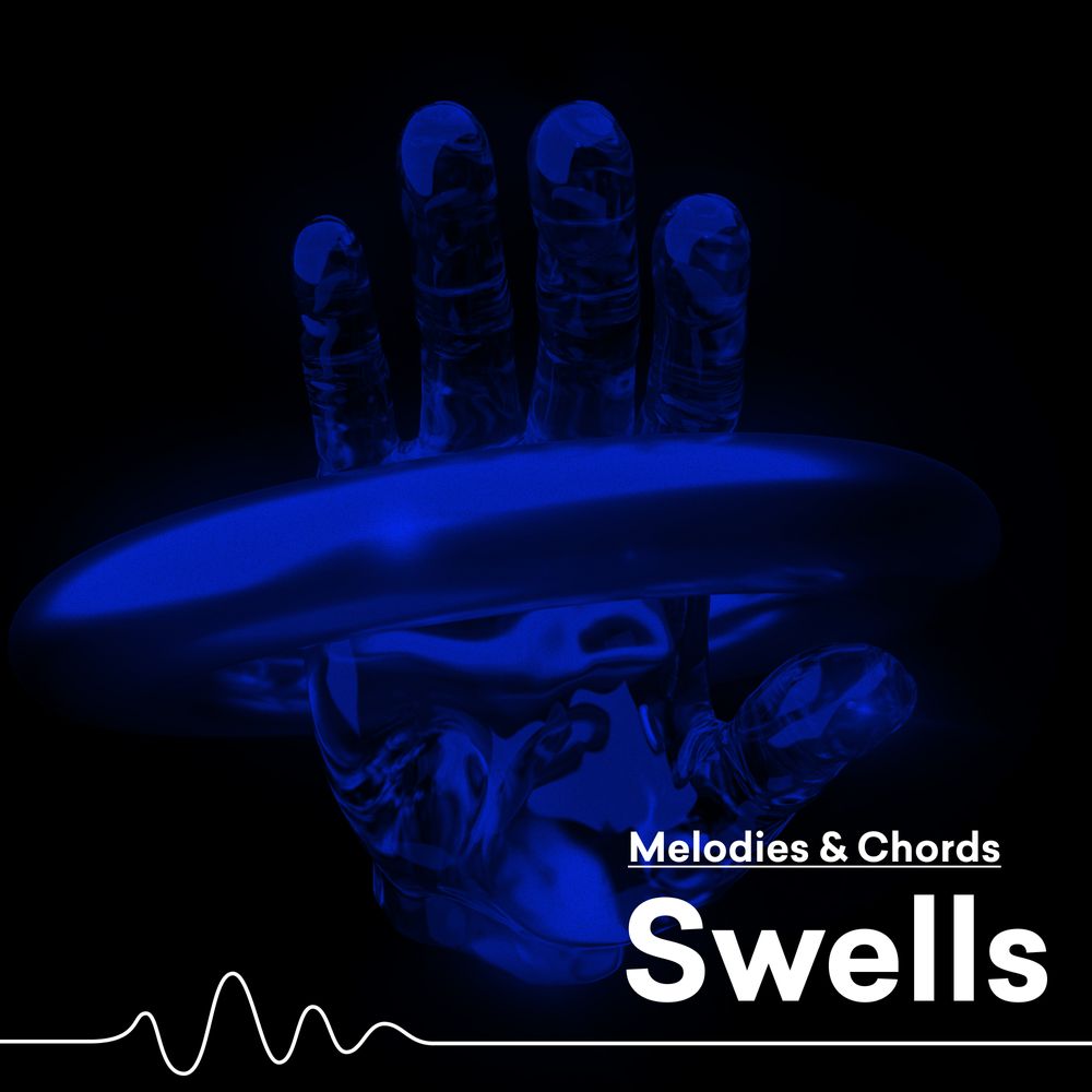 Pochette de Swells