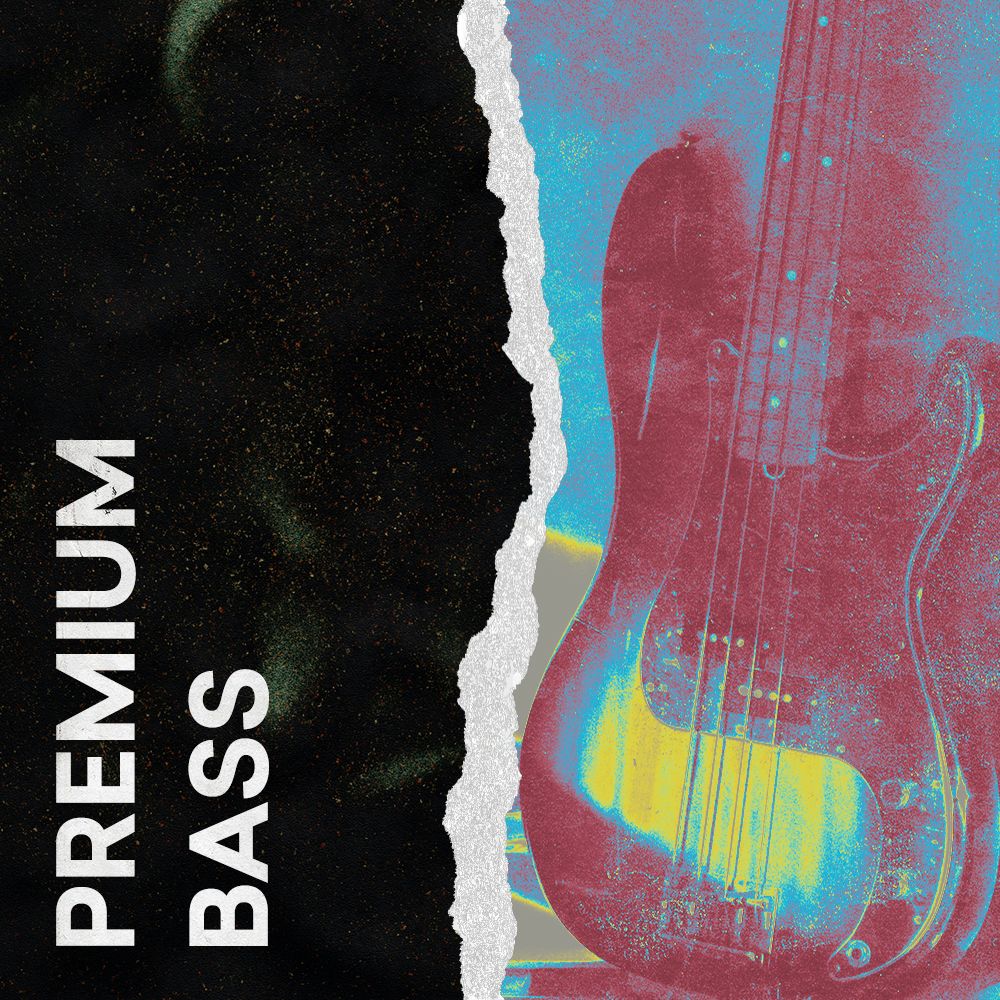 Premium Bass Samples LANDR Samples LANDR