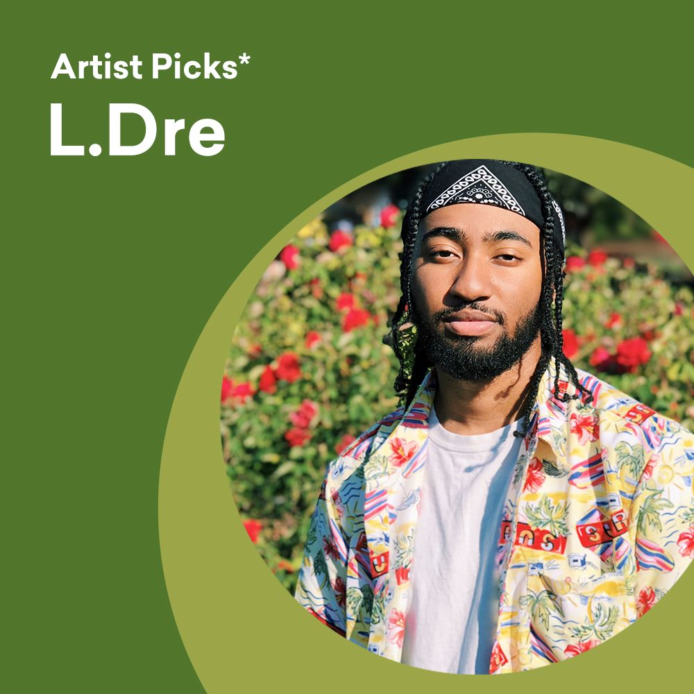 Pochette de Artist Picks - L.Dre